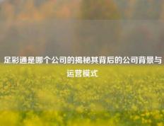 足彩通是哪个公司的揭秘其背后的公司背景与运营模式