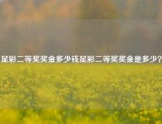足彩二等奖奖金多少钱足彩二等奖奖金是多少？
