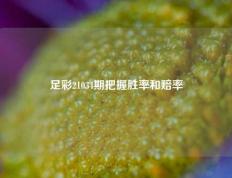 足彩21034期把握胜率和赔率