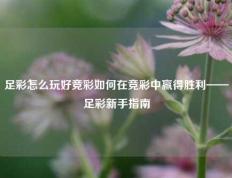 足彩怎么玩好竞彩如何在竞彩中赢得胜利——足彩新手指南