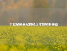 水位足彩皇冠揭秘足球博彩的秘密