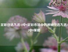 足彩任选九选12中9足彩市场中的神秘任选九选12中9策略