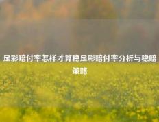 足彩赔付率怎样才算稳足彩赔付率分析与稳赔策略