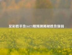足彩胜平负16171期预测揭秘胜负强弱