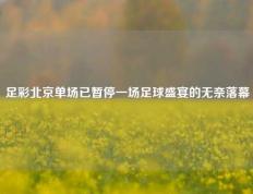 足彩北京单场已暂停一场足球盛宴的无奈落幕