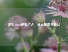 足彩19039把握机会，追求刺激与挑战
