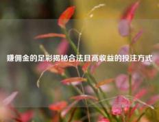 赚佣金的足彩揭秘合法且高收益的投注方式