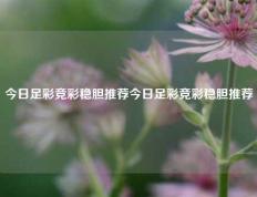 今日足彩竞彩稳胆推荐今日足彩竞彩稳胆推荐