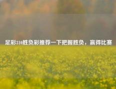 足彩310胜负彩推荐一下把握胜负，赢得比赛