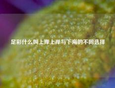 足彩什么叫上岸上岸与下海的不同选择