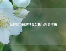 足彩16179预测精准分析与策略指南
