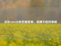 足彩18018分析把握胜算，稳赚不赔的策略