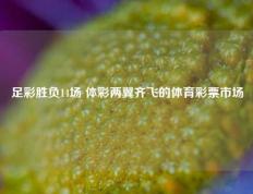 足彩胜负14场 体彩两翼齐飞的体育彩票市场
