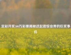 足彩开奖500万彩票揭秘这起震惊业界的巨奖事件