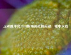 足彩胜平负16181期预测把握关键，稳中求胜