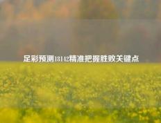 足彩预测18142精准把握胜败关键点