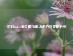 足彩16172澳盘揭秘市场走势与策略分析