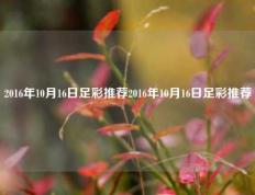 2016年10月16日足彩推荐2016年10月16日足彩推荐