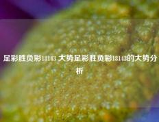 足彩胜负彩18143 大势足彩胜负彩18143的大势分析