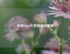 足彩18013大势预测与策略