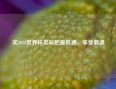 买2018世界杯足彩把握机遇，享受刺激