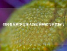 如何看足彩水位深入浅出的解读与实战技巧