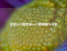 足彩16173期足彩16173期预测与分析