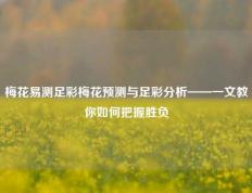 梅花易测足彩梅花预测与足彩分析——一文教你如何把握胜负