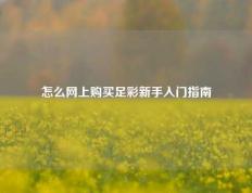 怎么网上购买足彩新手入门指南