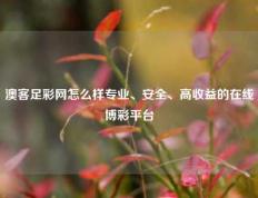澳客足彩网怎么样专业、安全、高收益的在线博彩平台