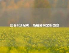 澳客14场足彩一场精彩纷呈的盛宴