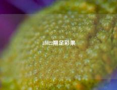 18022期足彩果
