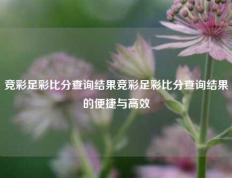 竞彩足彩比分查询结果竞彩足彩比分查询结果的便捷与高效