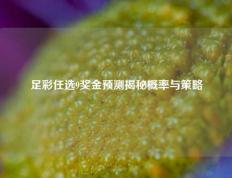 足彩任选9奖金预测揭秘概率与策略