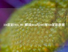 310足彩2016 2017解读2016与2017年310足彩数据