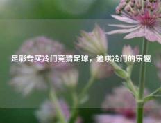 足彩专买冷门竞猜足球，追求冷门的乐趣