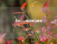 足彩17169期回顾与展望