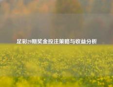 足彩29期奖金投注策略与收益分析