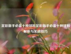 足彩新手必备十种球料足彩新手必备十种球料解析与实战技巧