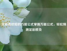 足彩看欧赔的万能公式掌握万能公式，轻松预测足彩胜负