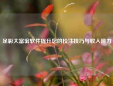 足彩大富翁软件提升您的投注技巧与收入潜力