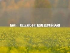 最新一期足彩分析把握胜算的关键