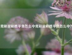 竞彩足彩胜平负怎么中竞彩足彩胜平负怎么中？