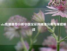 nba竞猜推荐分析中国足彩网精准分析与策略解读