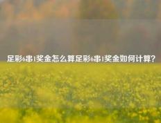 足彩6串1奖金怎么算足彩6串1奖金如何计算？