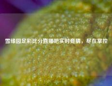 雪缘园足彩比分直播吧实时竞猜，尽在掌控