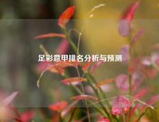足彩意甲排名分析与预测