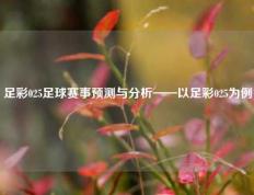 足彩025足球赛事预测与分析——以足彩025为例
