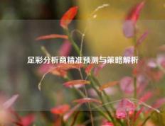 足彩分析商精准预测与策略解析