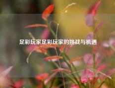 足彩玩家足彩玩家的挑战与机遇